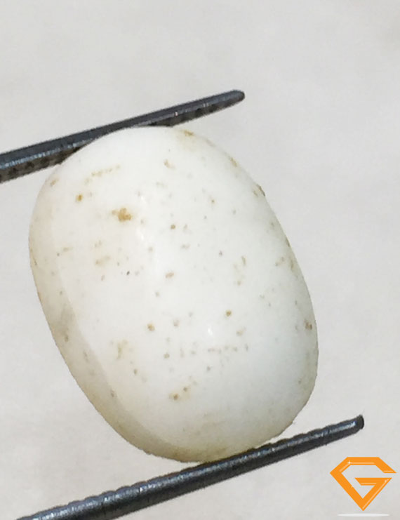 6.25 ratti/5.80 ct Natural Certified  White Coral/सफ़ेद मूंगा